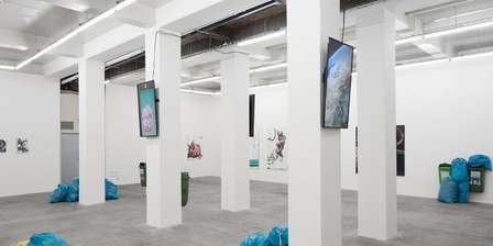 Polansky & SVIT Galleries