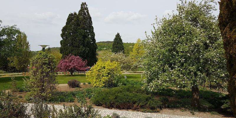 Botanical Gardens