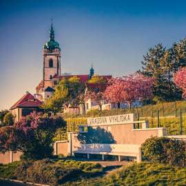 Desde Praga: ruta del vino bohemio con delicias y castillos