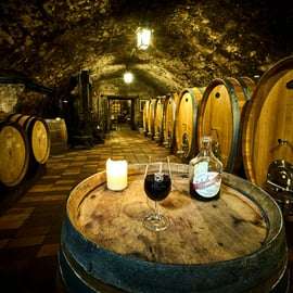 Desde Praga: ruta del vino bohemio con delicias y castillos