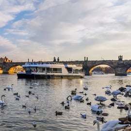 Praga: Crociera turistica sul fiume Moldava