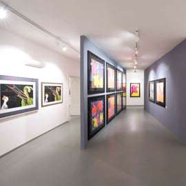 Praga: Ingresso para a Central Gallery com até 3 Exposições
