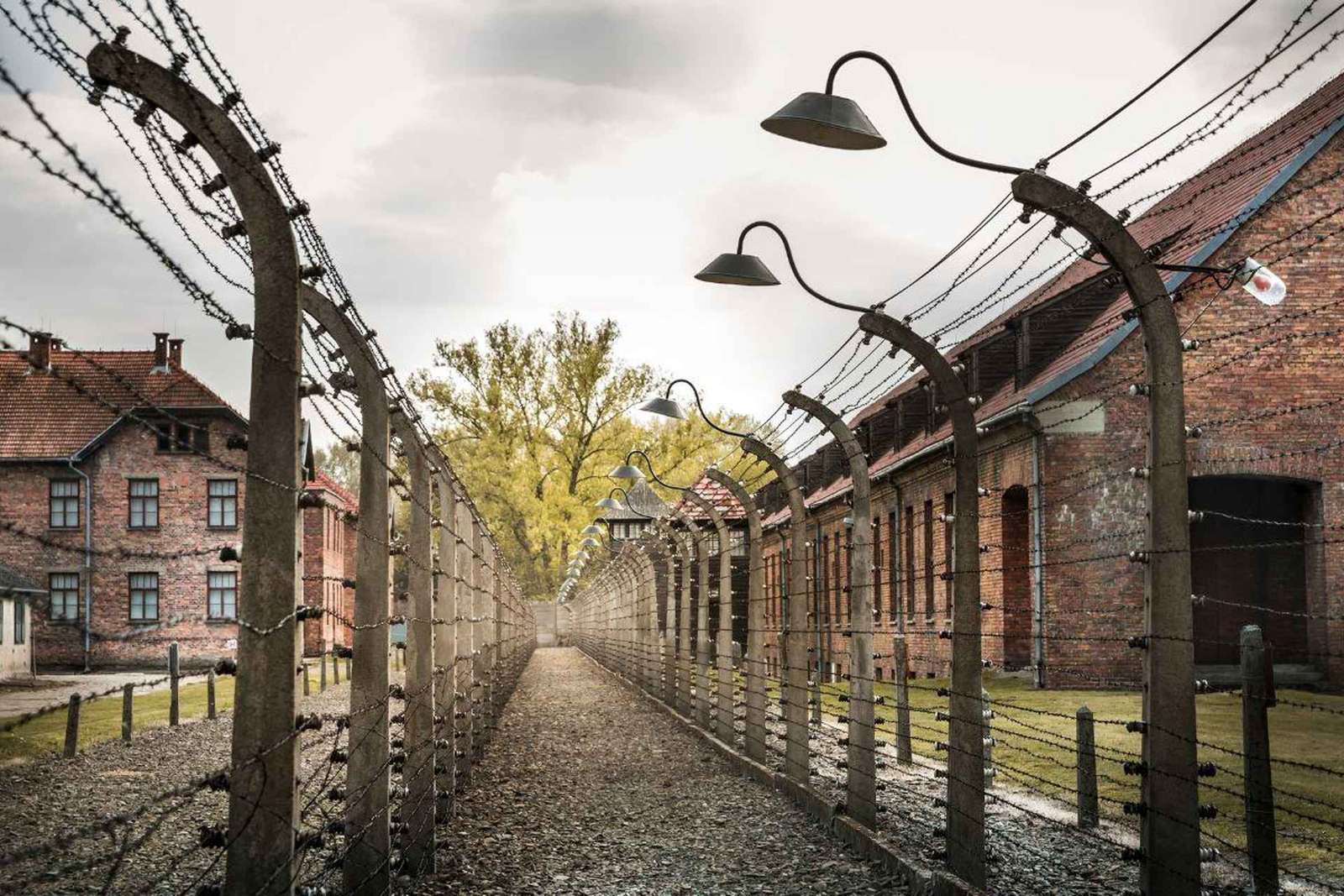 Praga: Tour ad Auschwitz Birkenau