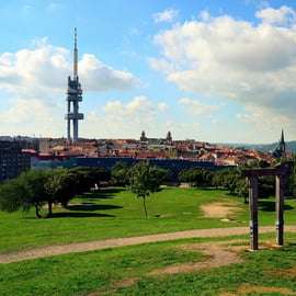 Praga: Torre de Televisão Žižkov: ingresso eletrônico com guia de áudio