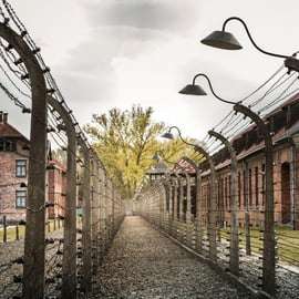 Praga: Tour ad Auschwitz Birkenau