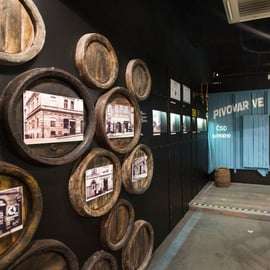 Velke Popovice: tour del birrificio Kozel con degustazione di birra