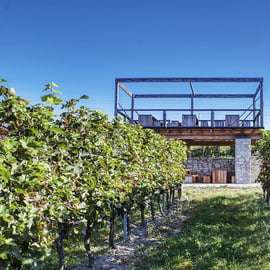 Desde Praga: ruta del vino bohemio con delicias y castillos